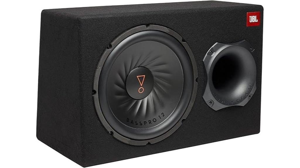 12 inch amplified subwoofer