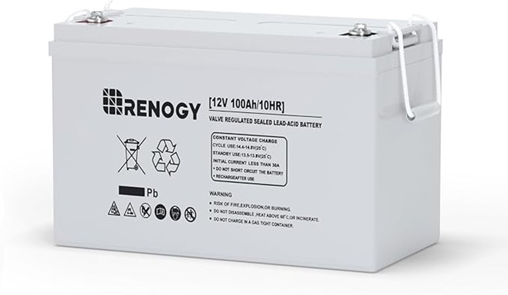 renogy 12v 100ah battery
