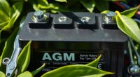 top agm car batteries