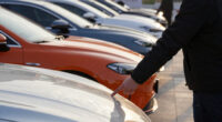 'Completely Insane': China Has 650 New Car Models So Far This Year