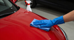 15 Best Car Detailing Kits in 2026