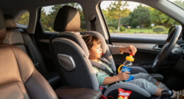 10 Best Car Seat Organizers for a Tidy, Useful Cabin in 2027