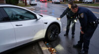 Man Dies After Being Mowed Down By Self-Driving Tesla, Police Say
